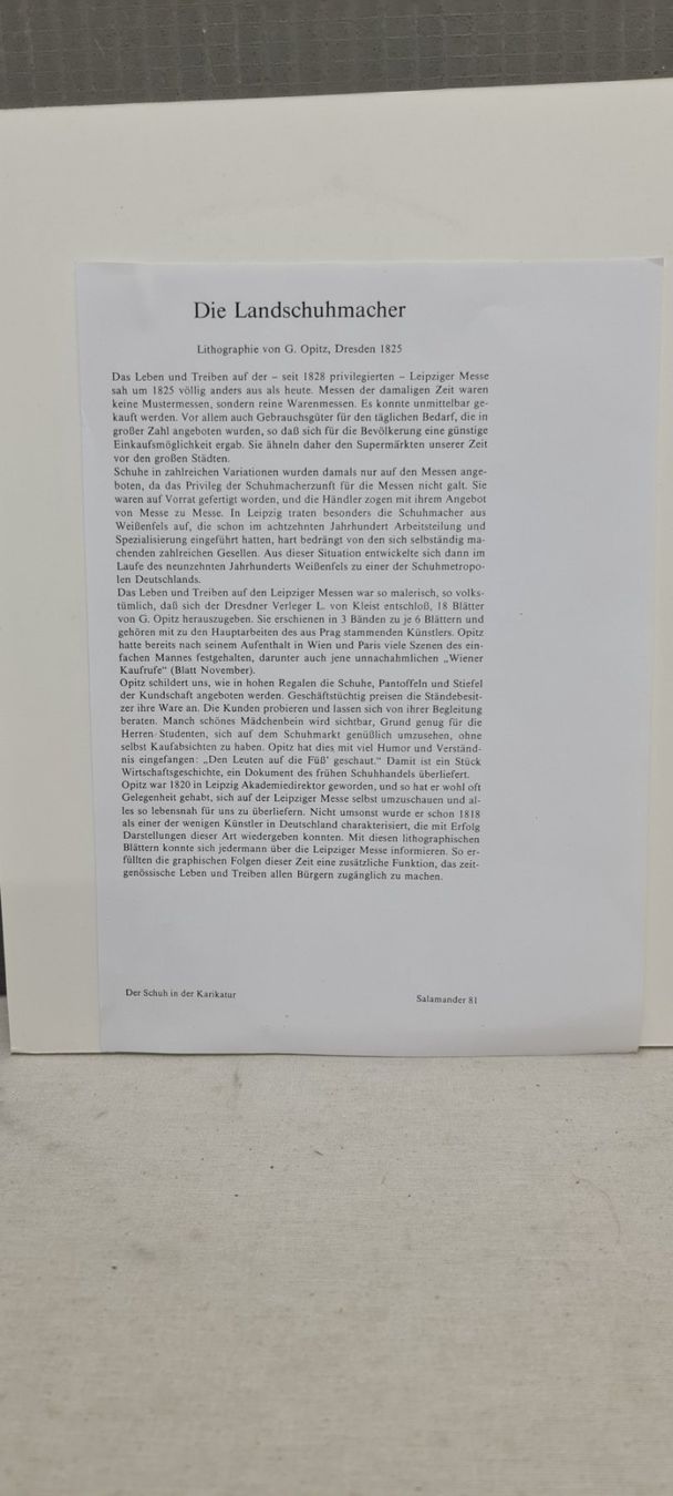Grafiken & Lithographien: Der Schuh in der Karikatur, Lithographie – Gebraucht aus Sins von sagitarius58 3