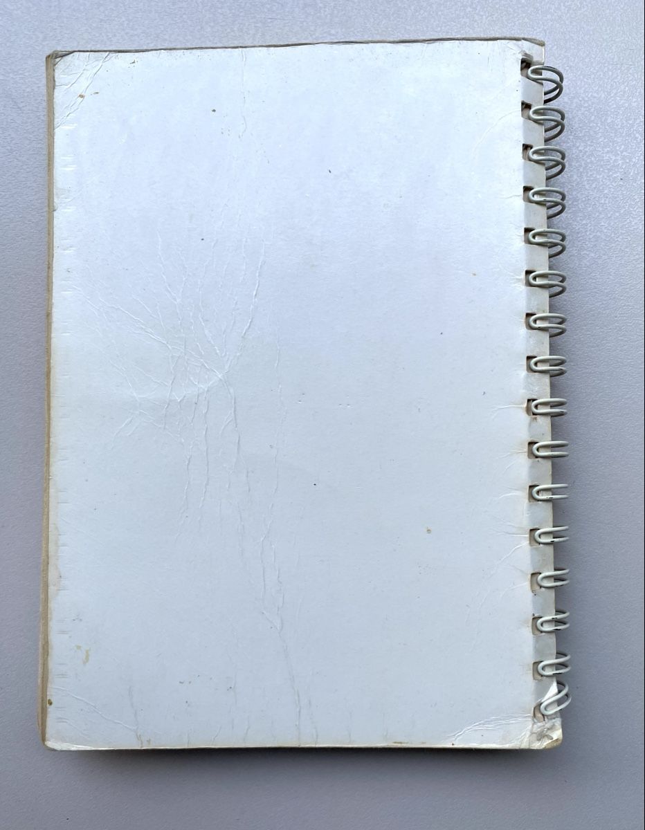 Libri: Berner Kochbuch grün von 1961 – Usato da Arbon venduto da pyramide071 6