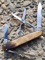 altes Sackmesser VICTORIA Horn Taschenmesser Couteau rar