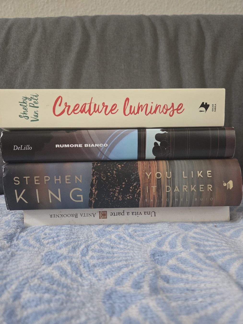 Libri: 4 libri Stephen King, DeLillo, Van Pelt, Brookner italiano – Usato da Nyon venduto da direwolf97 2