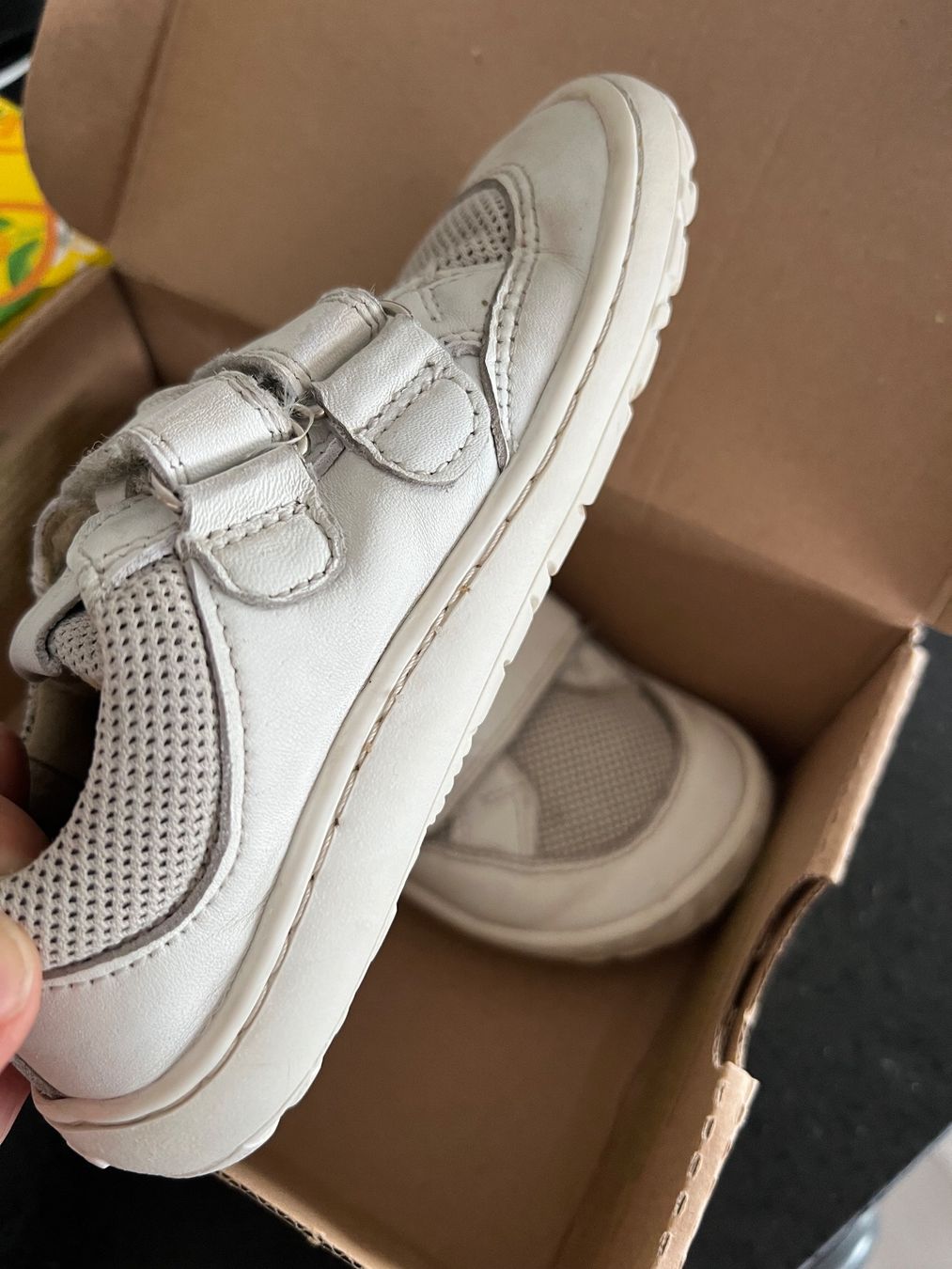 Froddo Scarpe da uomo: Froddo Barefoot BAZE unisex 26 – Usato da Stäfa venduto da bambinas