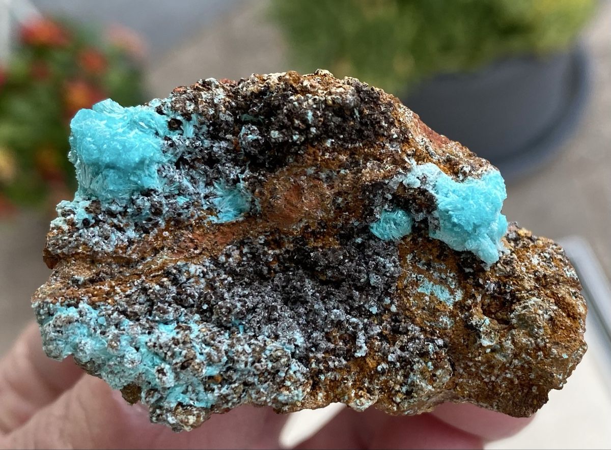 Mineralien & Heilsteine: Super Aurichalicit Mapimi Mexico  – Gebraucht aus Selzach von 321compac 4