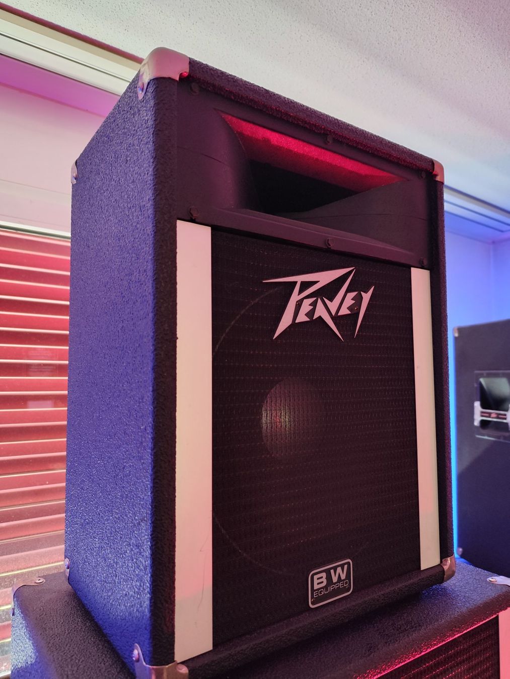 Peavey Casse acustiche: Männerhöhlen Party Anlage – Usato da Opfikon venduto da cuti2000 2