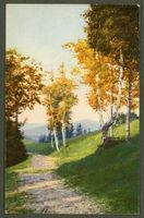 AK color Stilleben Spaziergang im Birkenhain ≈ 1924 