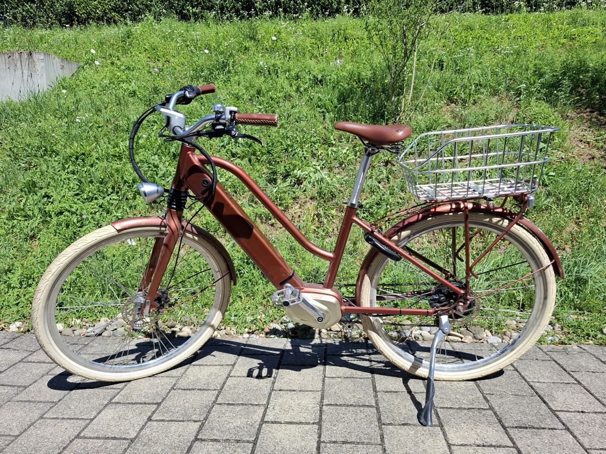 Ego Movement Vélos: Ego Movement Damen Ebike – D'occasion à Brüttisellen par FatPlaya 1
