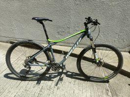 Mountainbike Wheeler,Grösse L,guter Zustand.