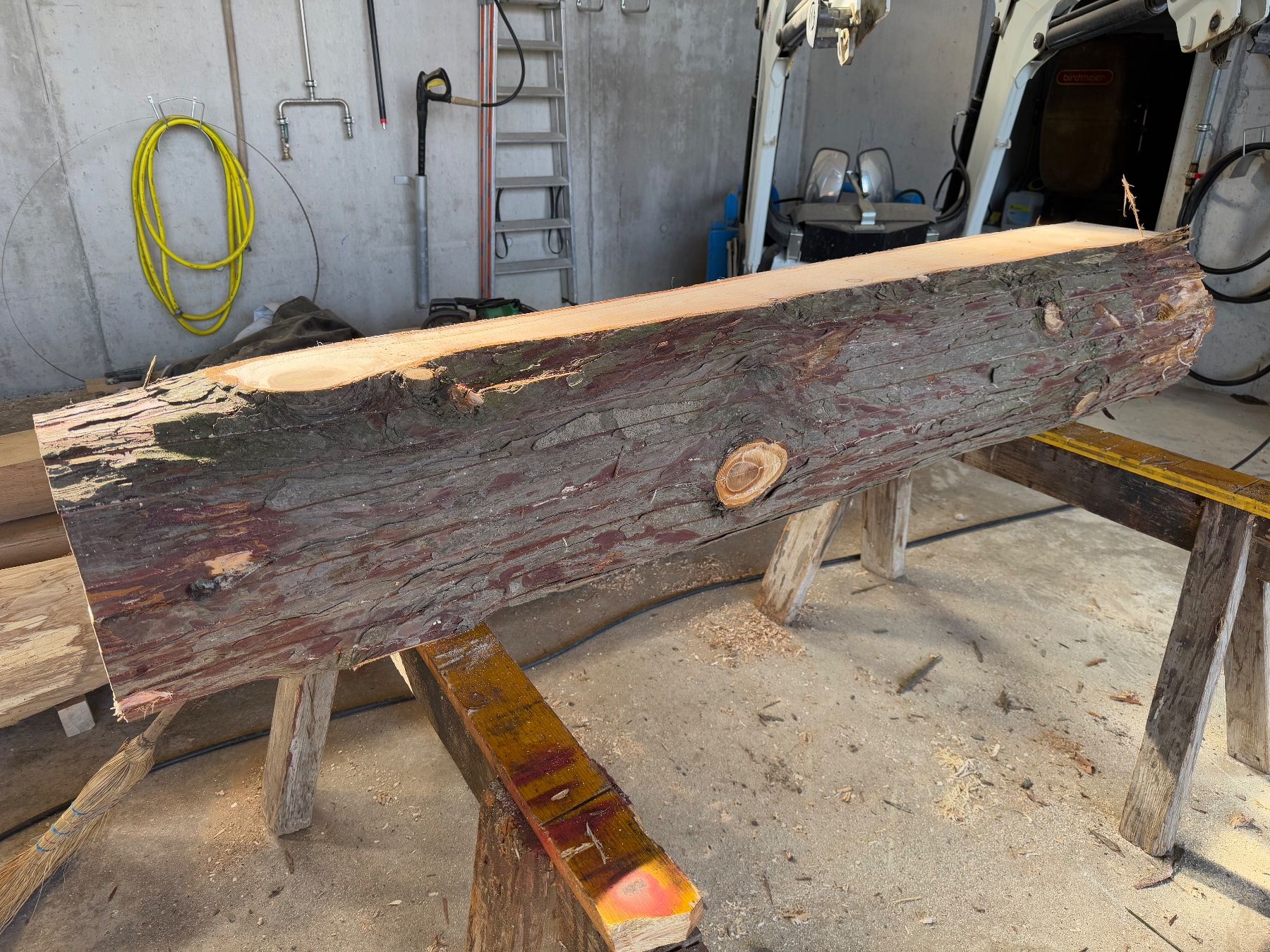 Articoli in legno: Thuja klotzbretter ganzer Stamm – Usato da Holziken venduto da Timbergrizzly 5