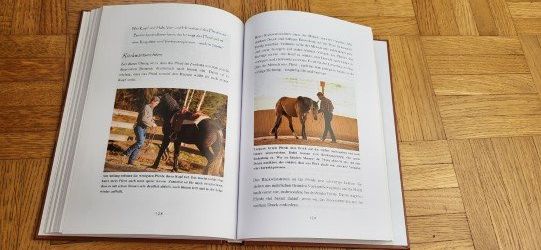 Libri: Bernd Hackl - Reiten im Sinne des Pferdes – Usato da Duggingen venduto da lot-of-fun 1