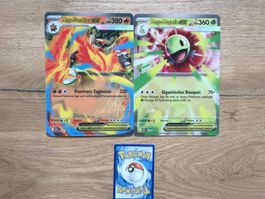 Pokemon Jumbo Karten Mega-Glurak EX & Mega-Rex EX, DE