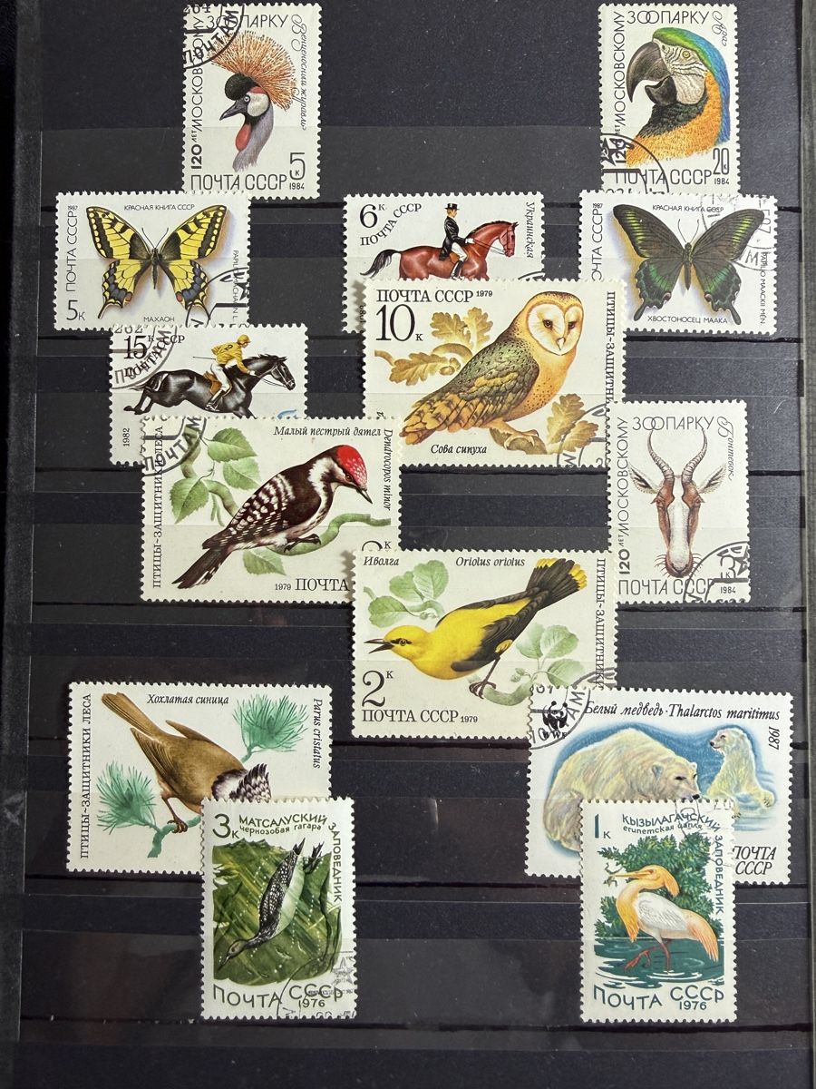 Album: Briefmarken Sammlung 1/4 - vorwiegend Polen – Usato da Vaz/Obervaz venduto da rea_w8cv 1