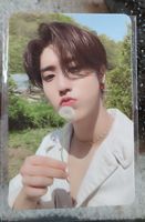 Straykids Han Maxident t-crush