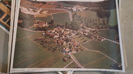 Schulwandbilder