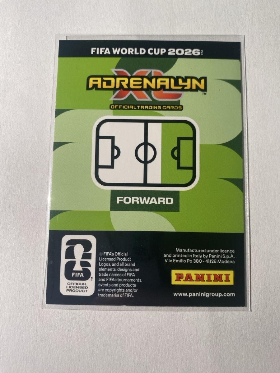 Panini Carte collezionabili: Nick Woltemade Master Rookie - Panini  World Cup 2026 – Nuovo (secondo la descrizione) da Winterthur venduto da SeanTrieb 1