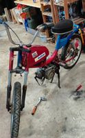 sachs 503 alpa Turbo