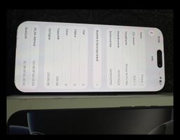 Apple iPhone 16 Pro Max 256 GB grau gebraucht