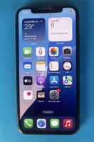 iPhone Xs 64 GB mit Zubehör