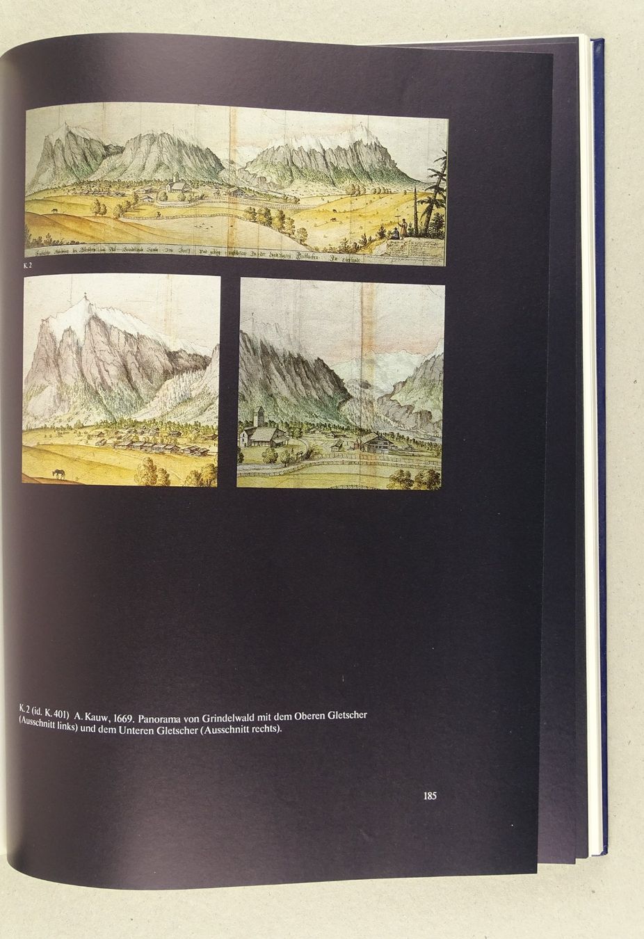 Libri: DIE SCHWANKUNGEN DER GRINDELWALDGLETSCHER – Usato da Grüningen venduto da Kartensammler 3