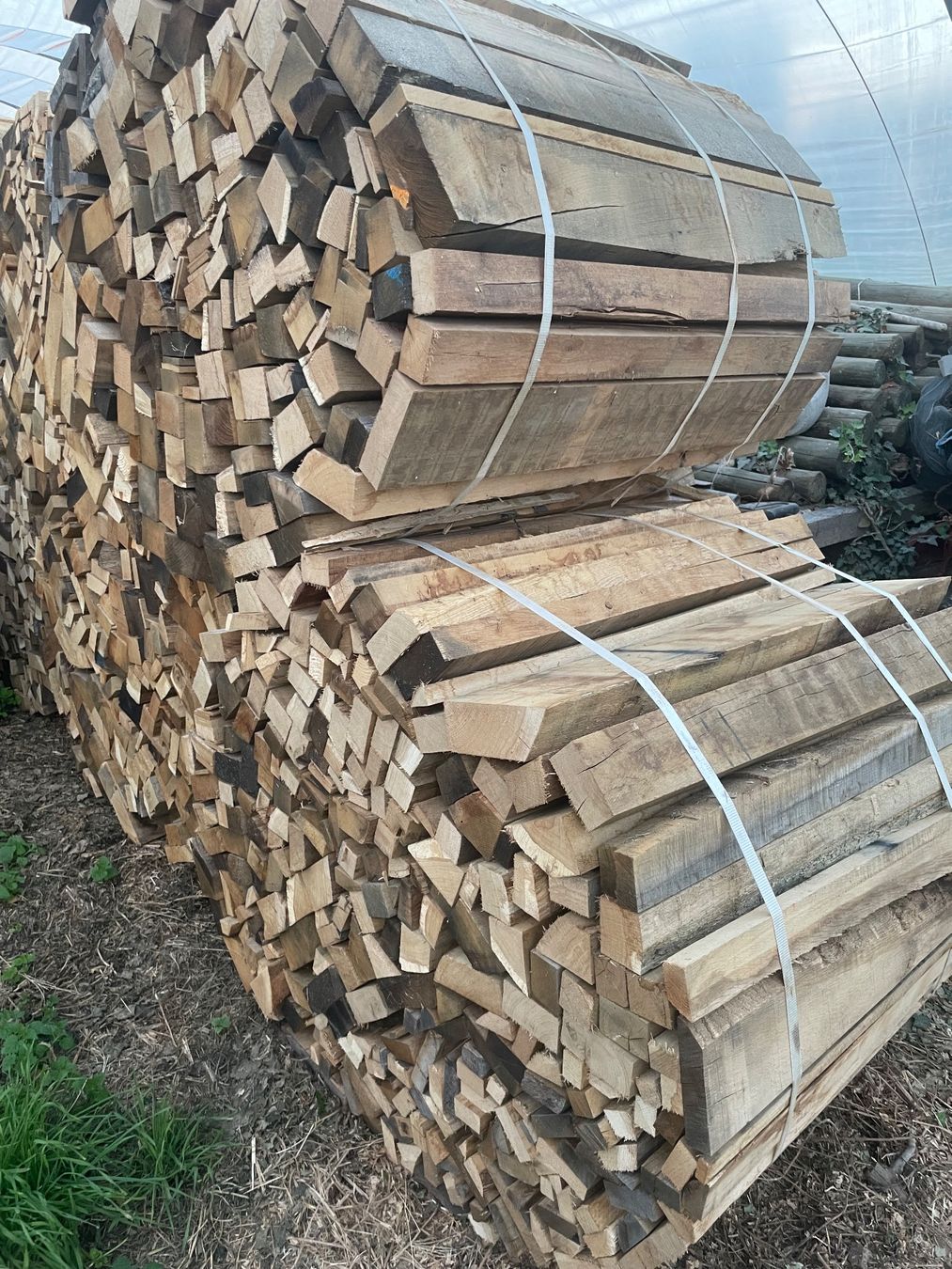 Holzartikel: Brennholz Eiche 1m – Neu (gemäss Beschreibung) aus Egnach von larssigner 2