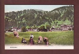 ADELBODEN - Kühe