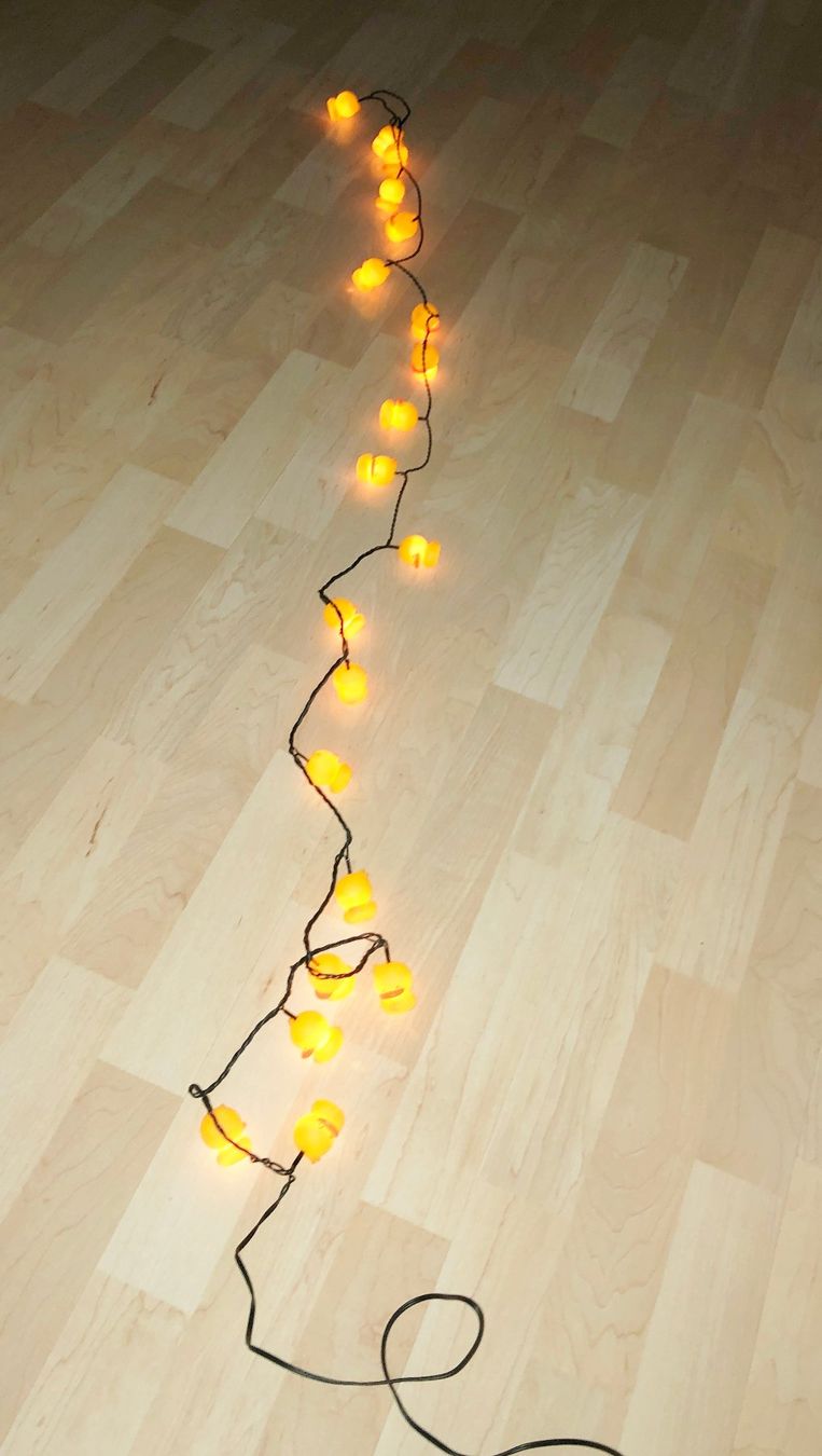 Ghirlande e barre luminose: Lichterkette mit Enten – Nuovo (secondo la descrizione) da Glattbrugg venduto da Ariel012 4