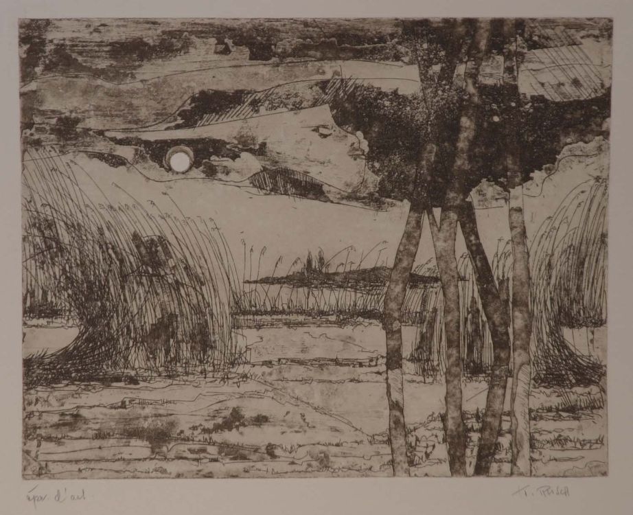 Nuoler Ried Kaufen auf Ricardo