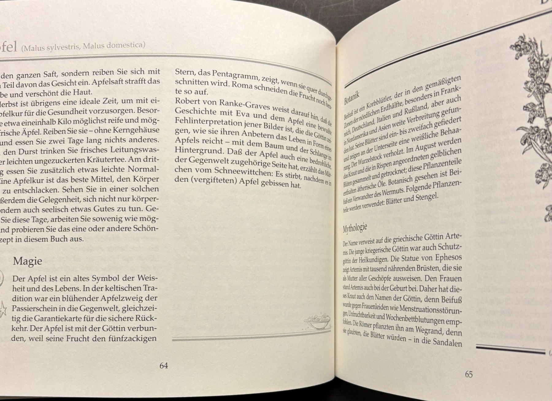 Libri: Planetenkräuter – Nuovo e nell'imballaggio originale da Sarnen venduto da Livres 8