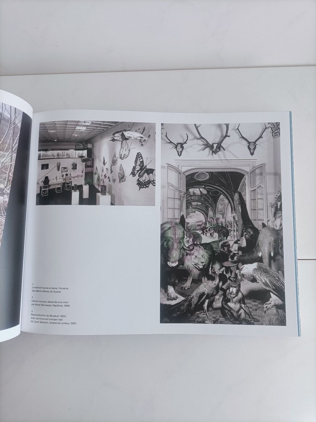 Bücher: Le muséum Recto Verso Muséum d'histoire naturelle Neuchâtel – Gebraucht aus crans montana von AB3963 4