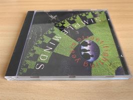 Simple Minds – Street Fighting Years