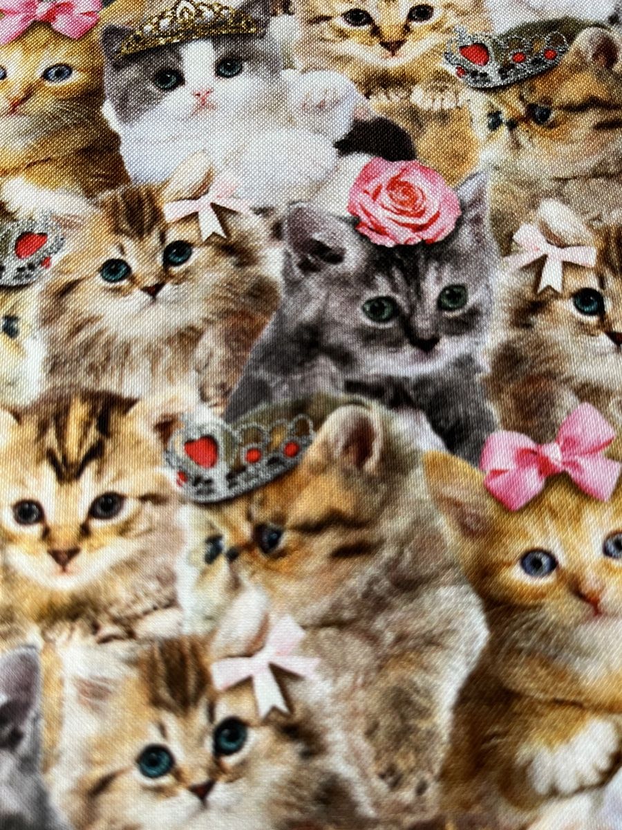 Tessuti: Patchworkstoff Prinzessinen-Katzen – Nuovo (secondo la descrizione) da Seuzach venduto da KreativmitStoff 2
