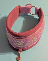 Hunde-Halsband aus Softshell / Zierborten / Zugstopp
