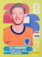 Panini FIFA World Cup NED 19