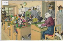 Katzen-Familie - Schul-Komission
