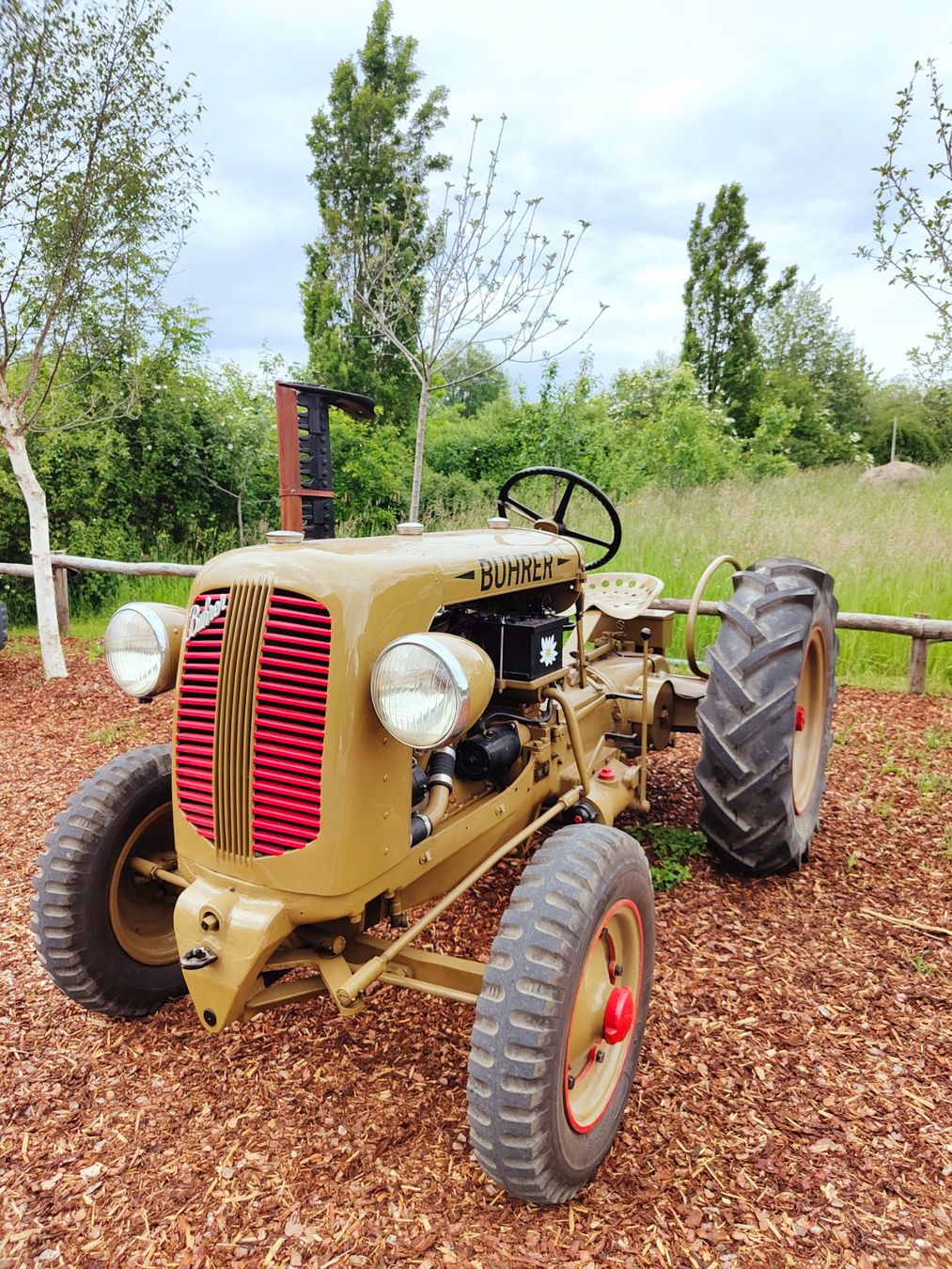 Bührer Trattori: Bührer BG 4 – Usato da Ermensee venduto da Ermensee1 2