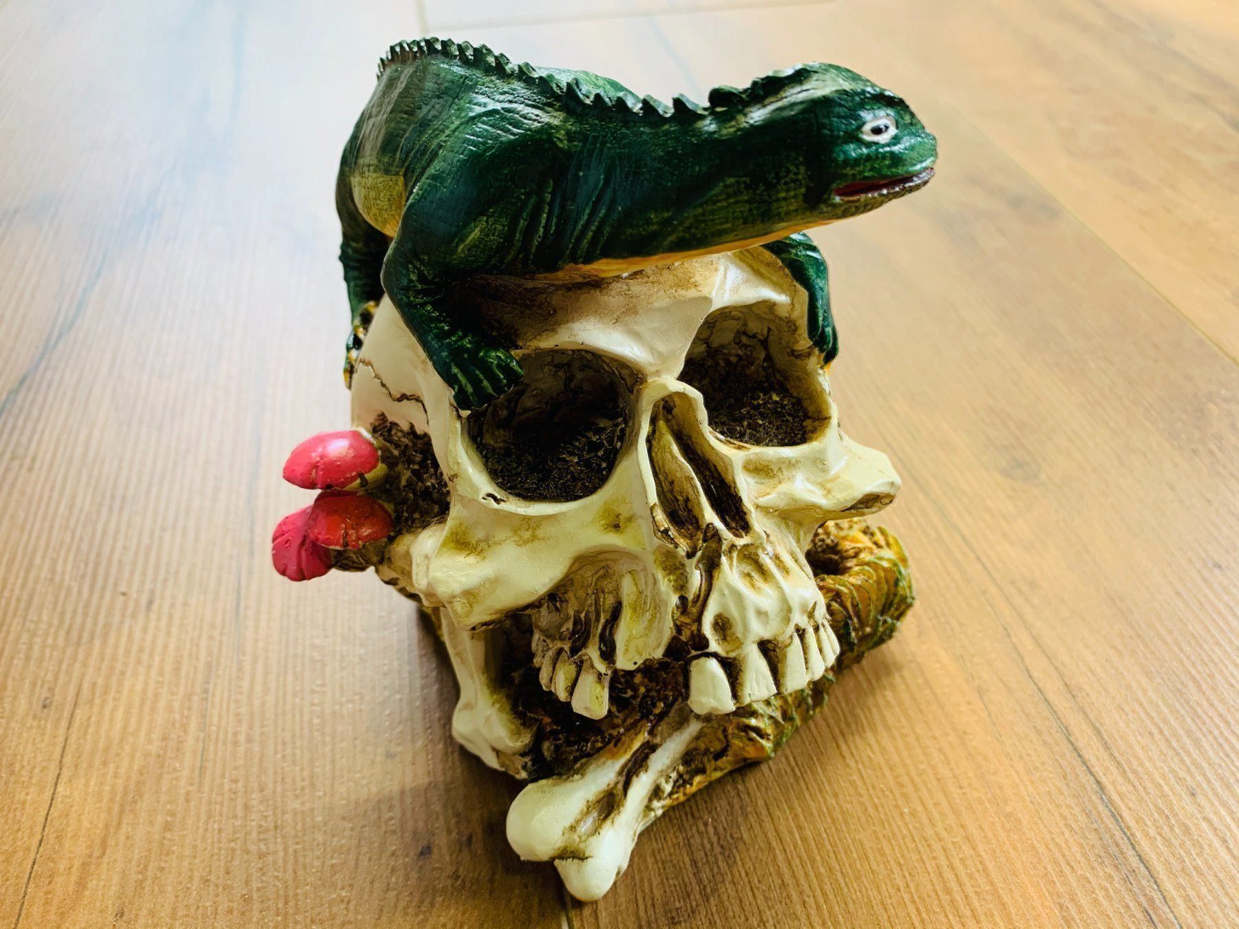 Sculture & Statue: Totenschädel Schädel SKULL Eidechse 11cm NEU – Nuovo e nell'imballaggio originale da Bergdietikon venduto da shopAgent 2