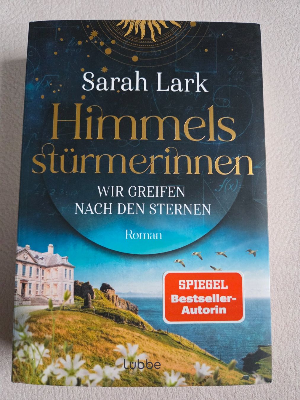 Bücher: Sarah Lark - Himmelsstürmerinnen – Gebraucht aus Bergdietikon von Tanne_10