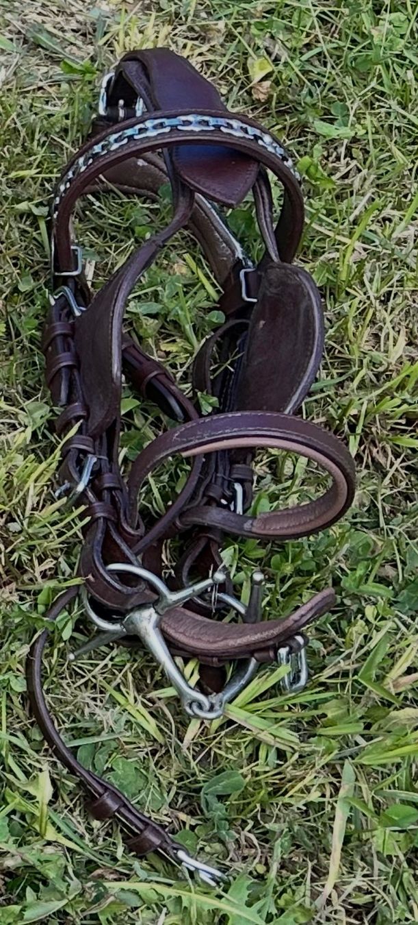 Briglie & Cavezze: Bride attelage taille shetland – Nuovo (secondo la descrizione) da Plan-les-Ouates venduto da aur_z5pj 1