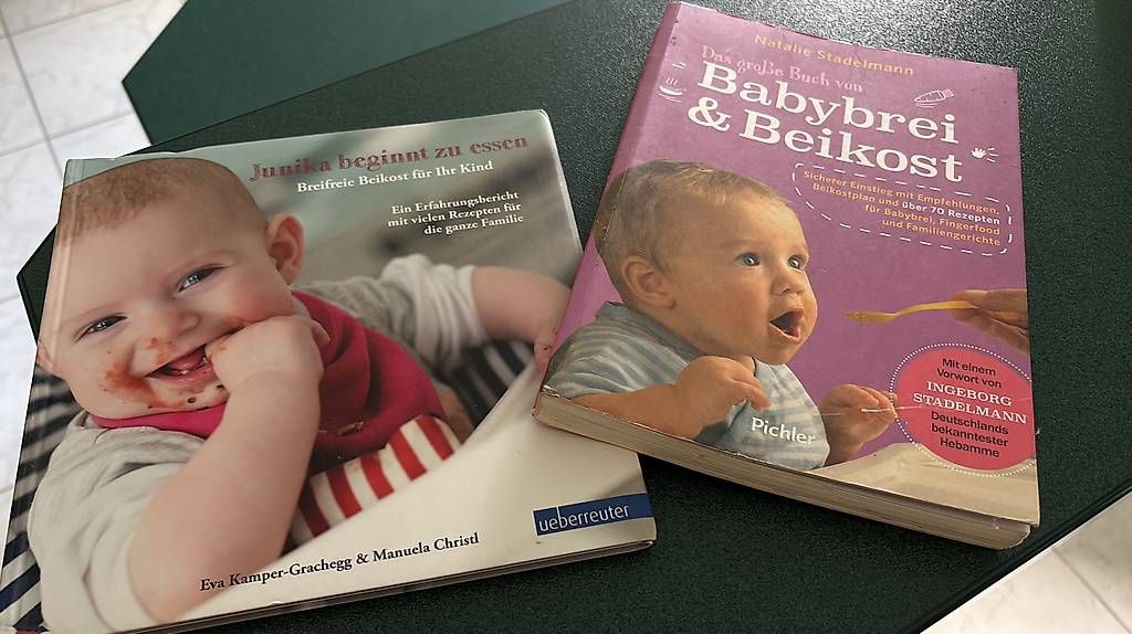 Bücher: Babybrei Bücher – Gebraucht aus Benken SG von febter