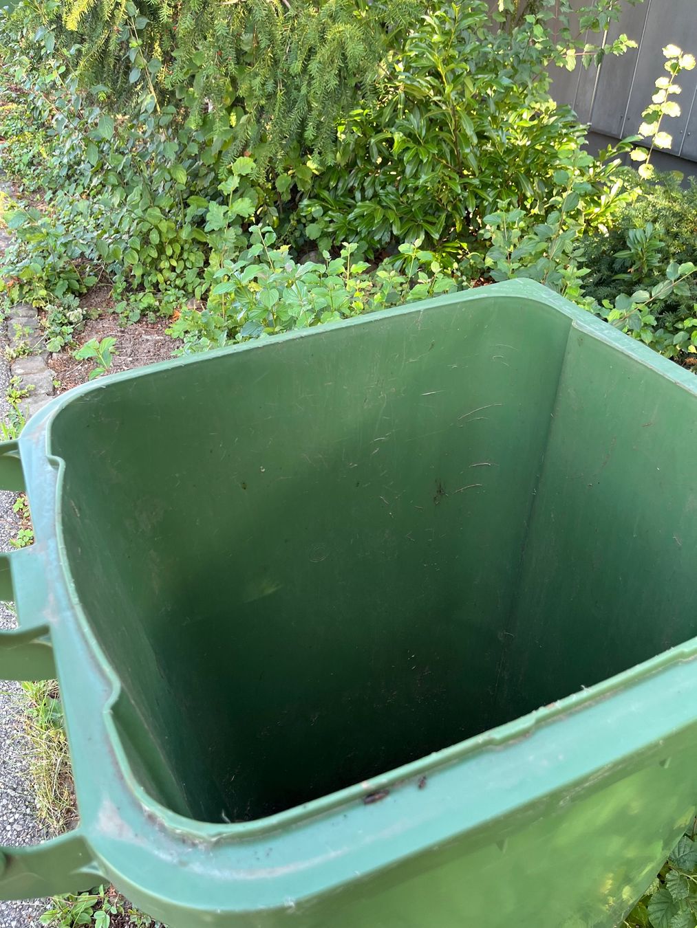 Altro per Ufficio & Commercio: Grüncontainer 240l – Usato da Lohn-Ammannsegg venduto da nad_nzl8 1
