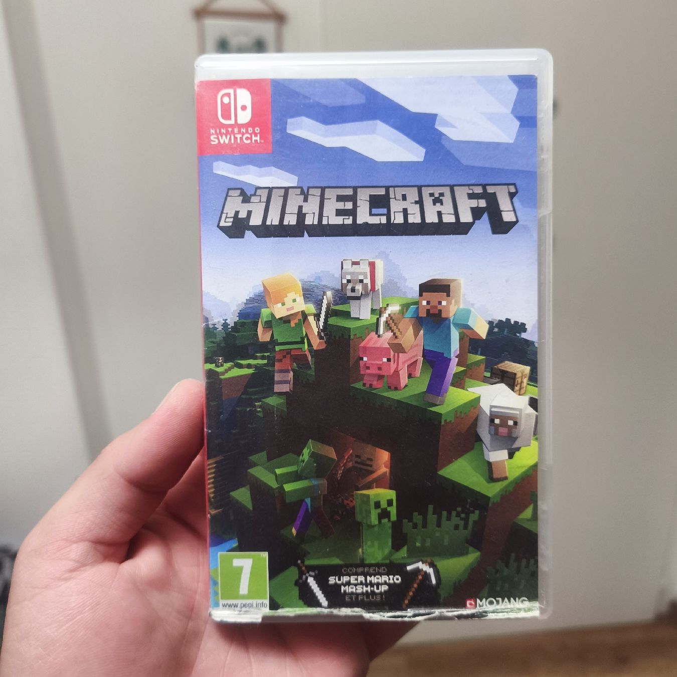 Spiele: ab1.- Minecraft- Nintendo Switch  – Gebraucht aus St-Maurice von Aran_Cash