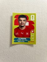 Panini Sui 20