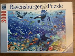 Puzzle 3000 pièces Ravensburger