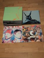 50 Vinyl – Techno / House / Electro / Minimal – DJ-Fundus