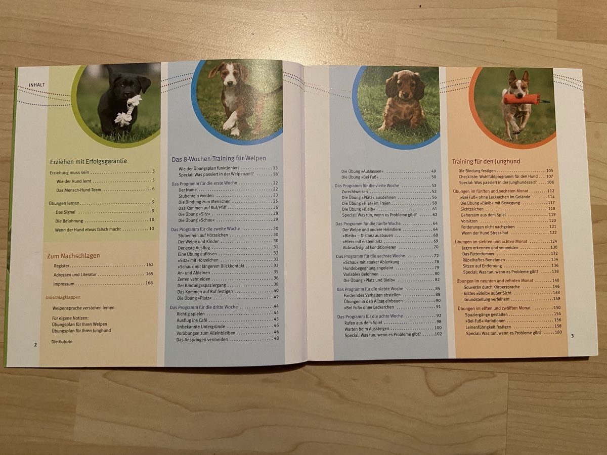 Libri: Welpenerziehung – Nuovo (secondo la descrizione) da Birmenstorf AG venduto da SlinaPaolo 2