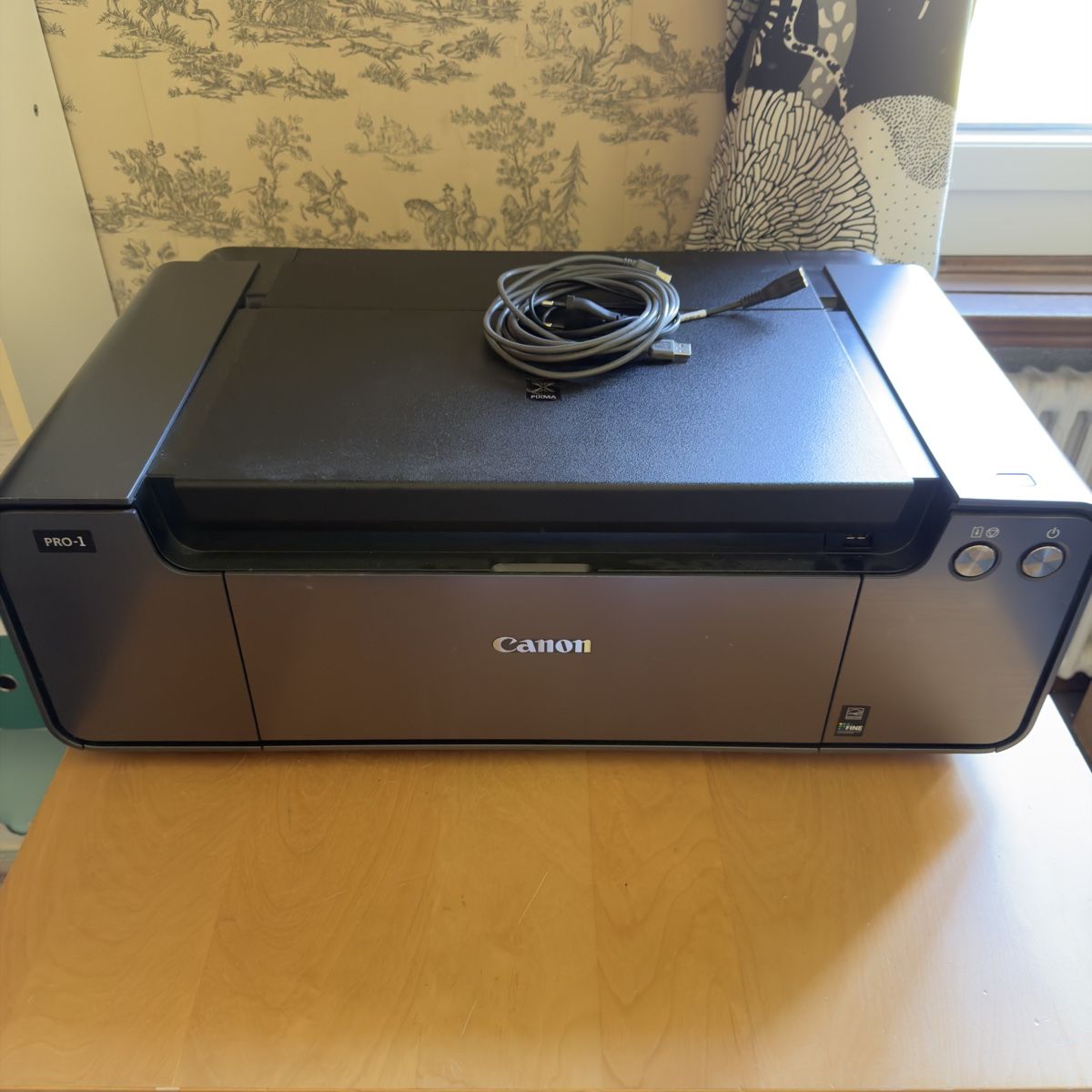 Canon Stampanti: Canon Pro-1 A3 professioneller Inkjet Drucker – Usato da Heimenschwand venduto da rialto1968