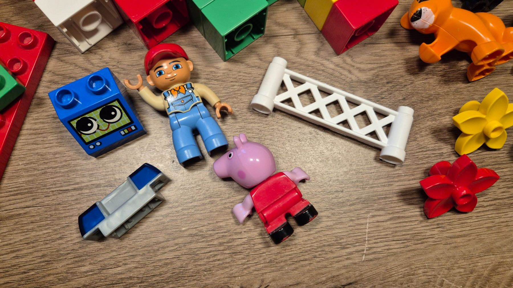Lego Jouets: Duplo Bausteine, Tiere, Fenster – D'occasion à Adelboden par afkcamper 1
