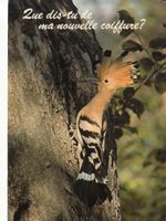 Animaux Humoristiques (11), um 1970