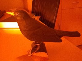 Amsel, holzgeschnitzt