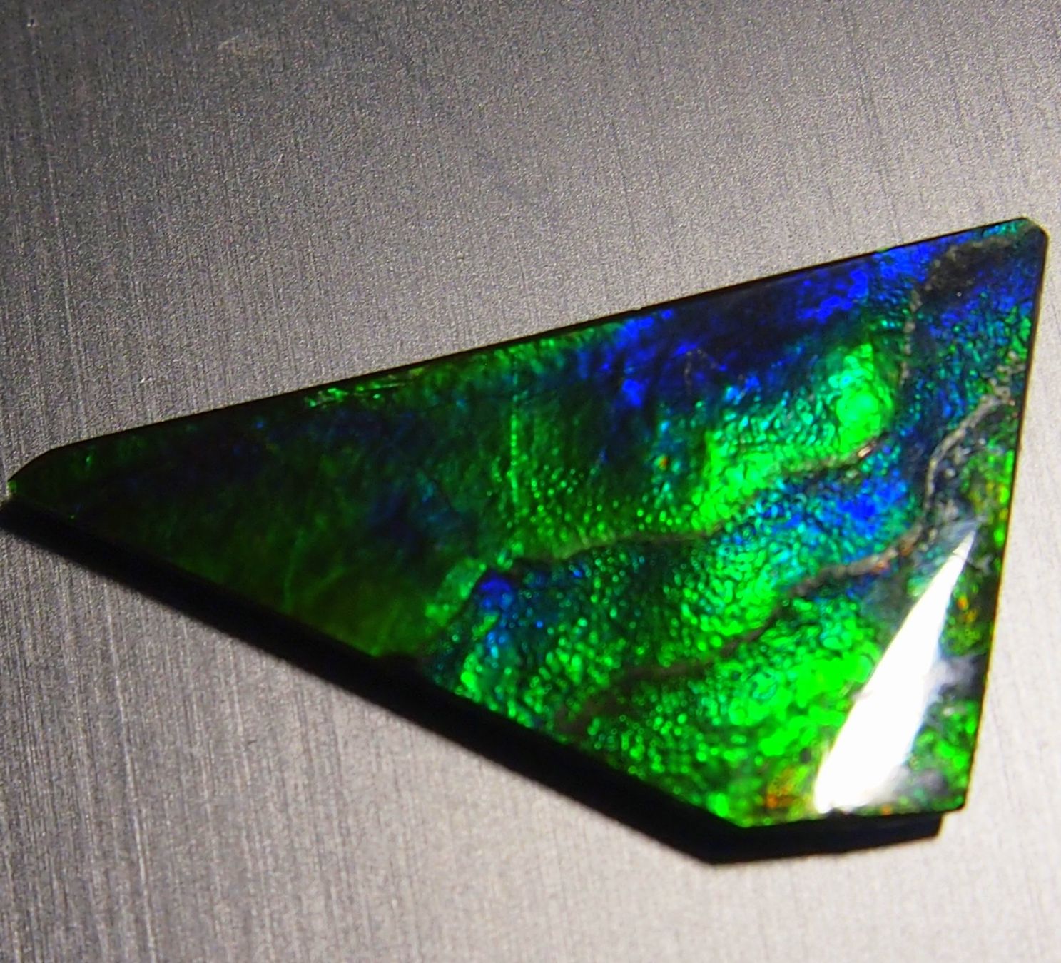 Fossili: 17  Karat Natural funky GEM Ammolite AAA! – Nuovo e nell'imballaggio originale da Reinach BL venduto da Marblue 7