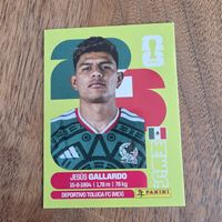 Panini  Jesus Gallardo Mex6