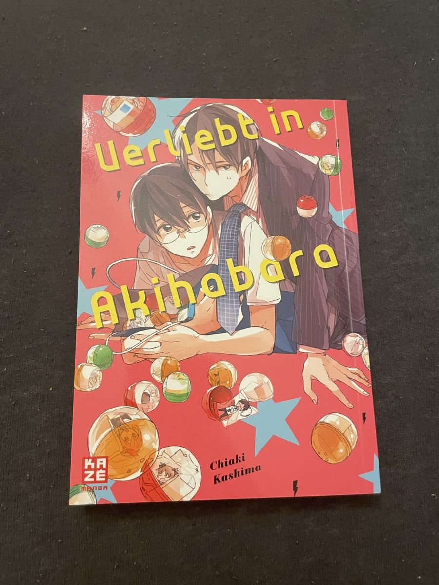Fumetti: Verliebt in Akihabara - BL oneshot – Usato da Uster venduto da ali_mp6n